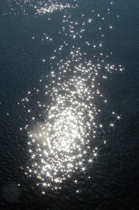 The light